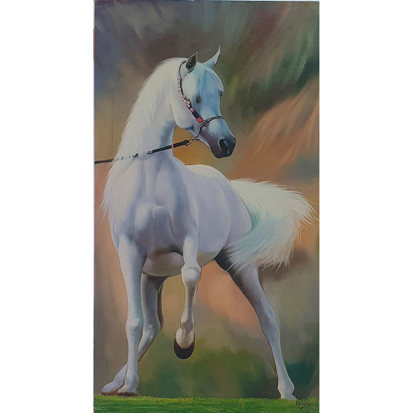 Cuadro Caballo Arabe 50x90 cm