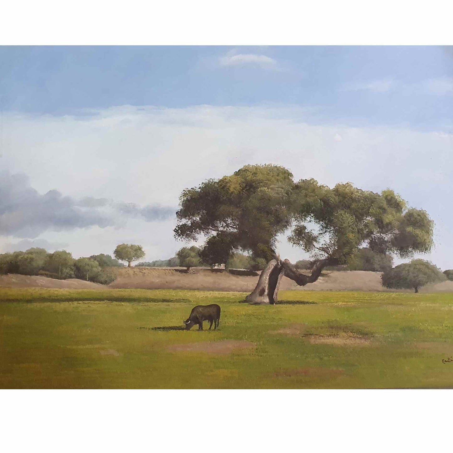 Cuadro Toro Bravo Encina 115x85 cm