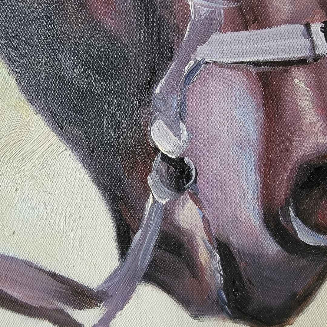 Cuadro Caballo Original II 55x48 cm Texturas