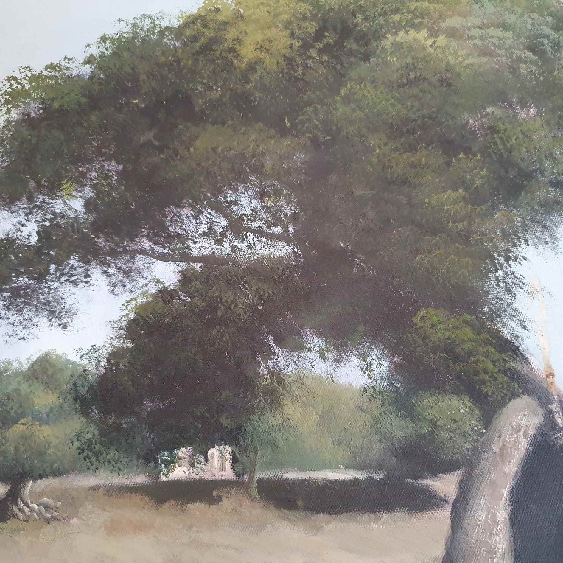 Cuadro Toro Bravo Encina 115x85 cm