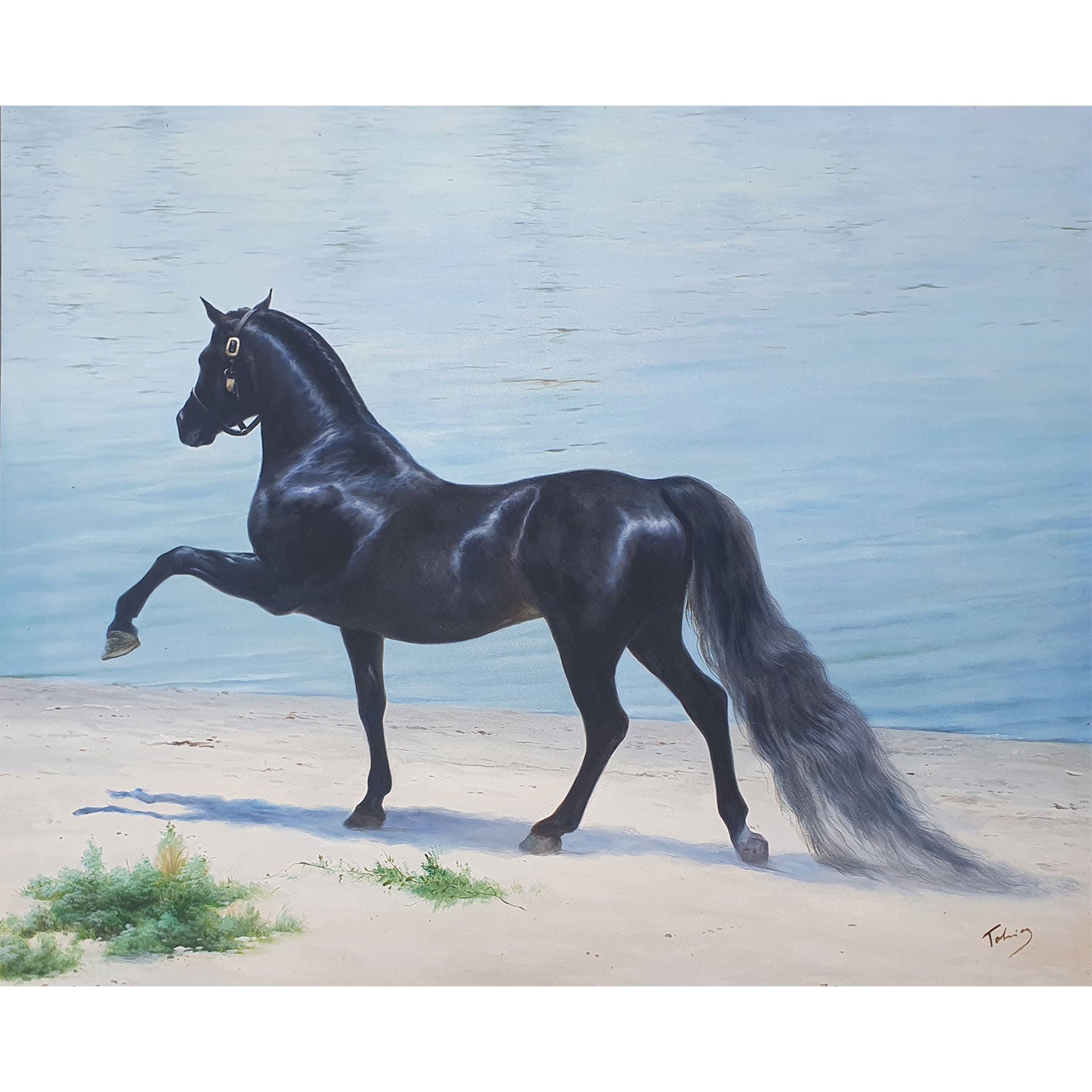 Cuadro Caballo Negro Arabe 100x80 cm
