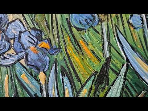 Cuadro Van Gogh Lirios 60x50 cm Texturas
