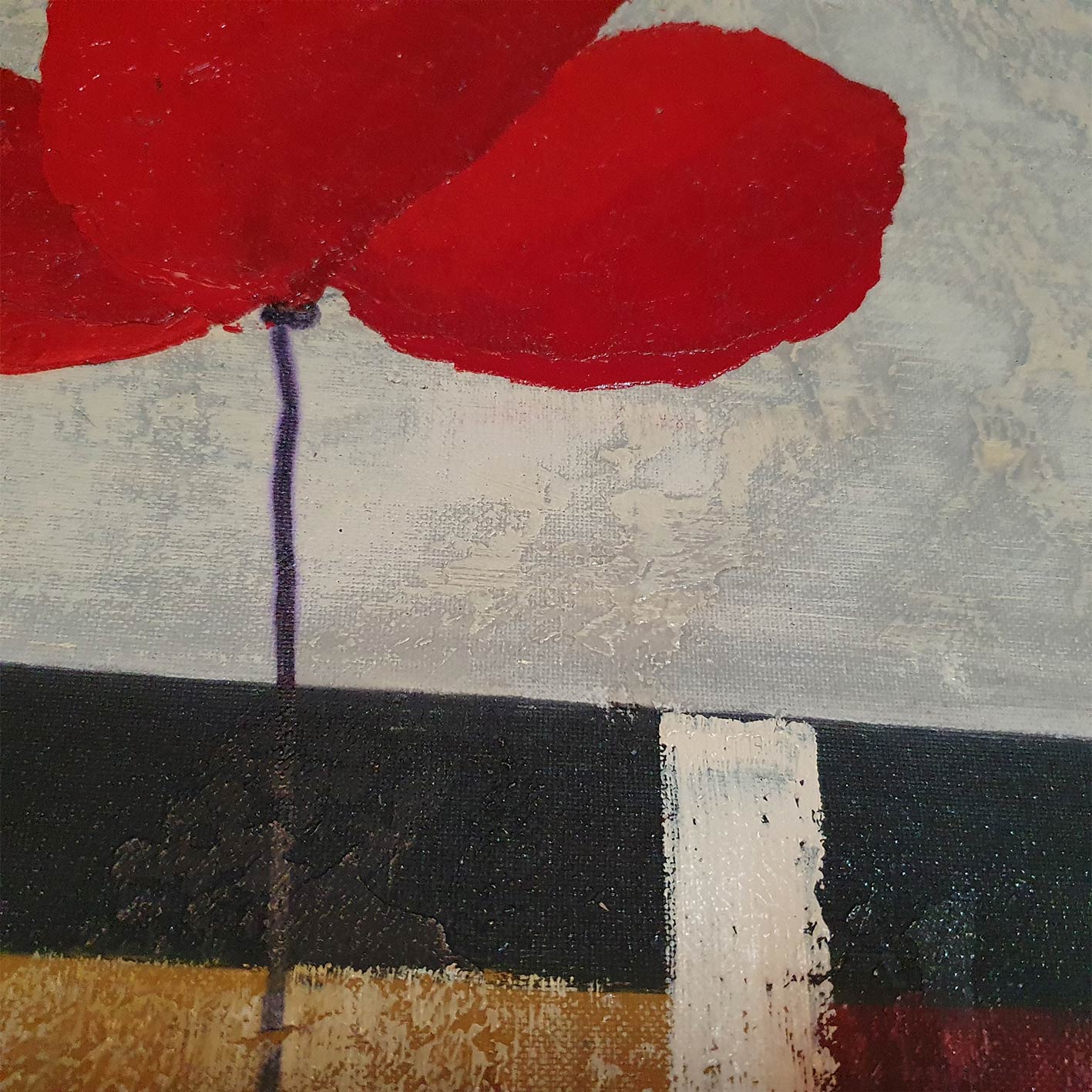 Cuadro Amapola Roja 80x80 cm Texturas