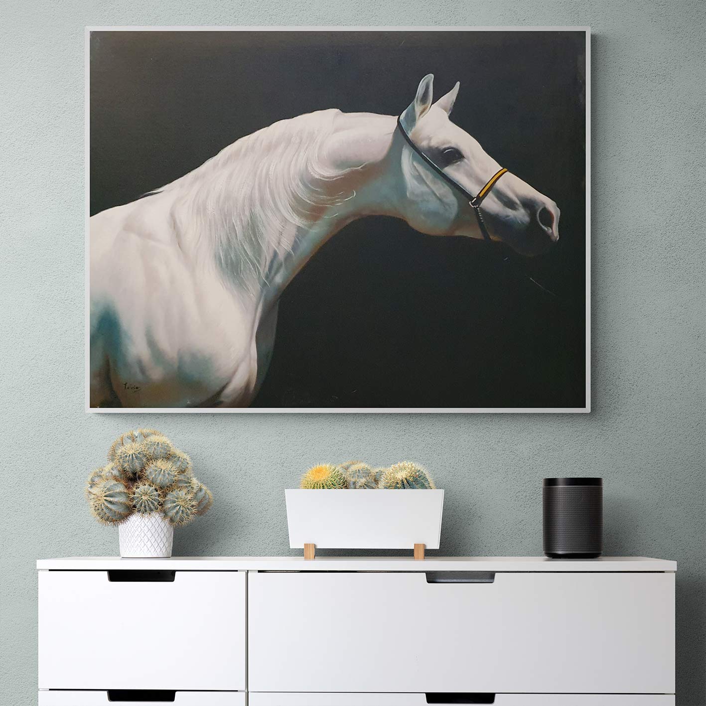 Cuadro Caballo Blanco 100x80 cm