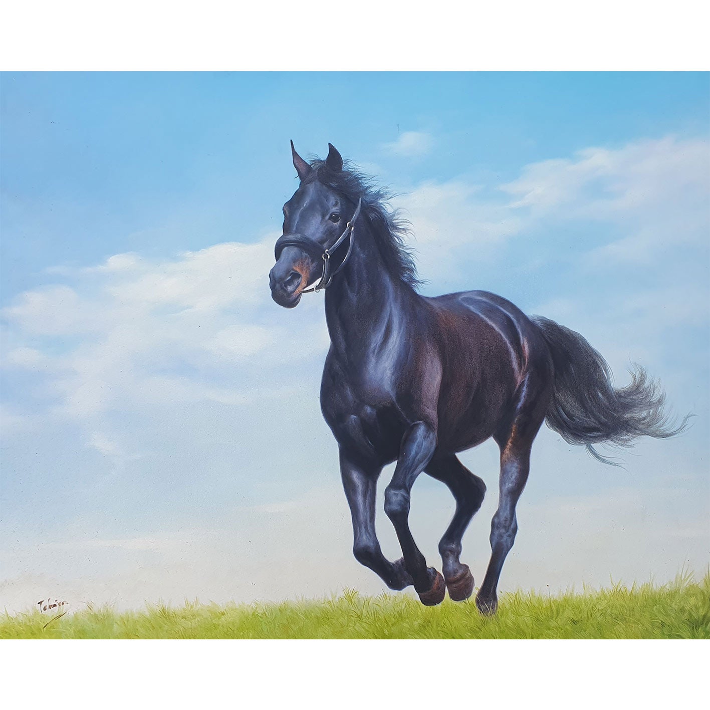 Cuadro Caballo Galope 100x80 cm