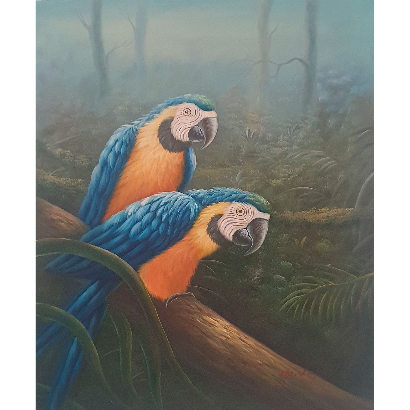 Cuadro Loros Azules 60x50 cm
