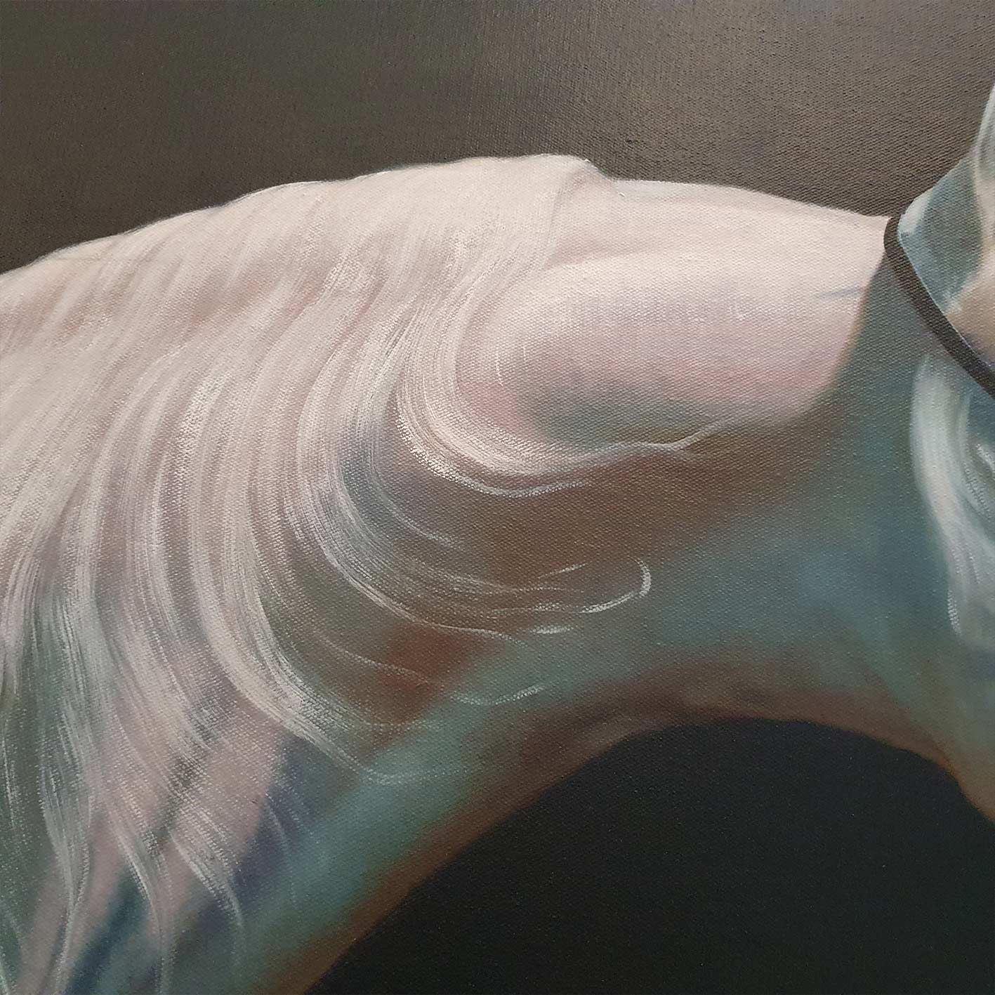 Cuadro Caballo Blanco 100x80 cm