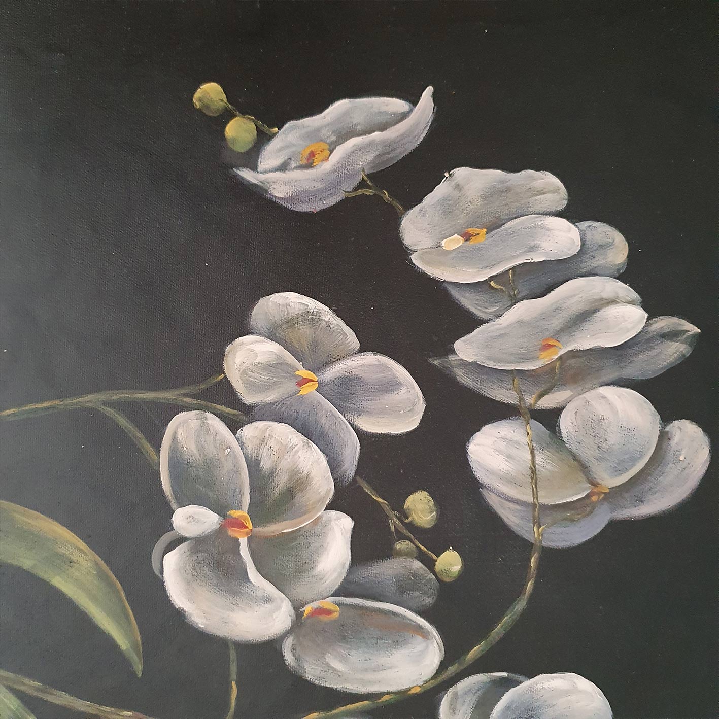 Cuadro Flor Jazmin 50x60 cm [2 piezas]