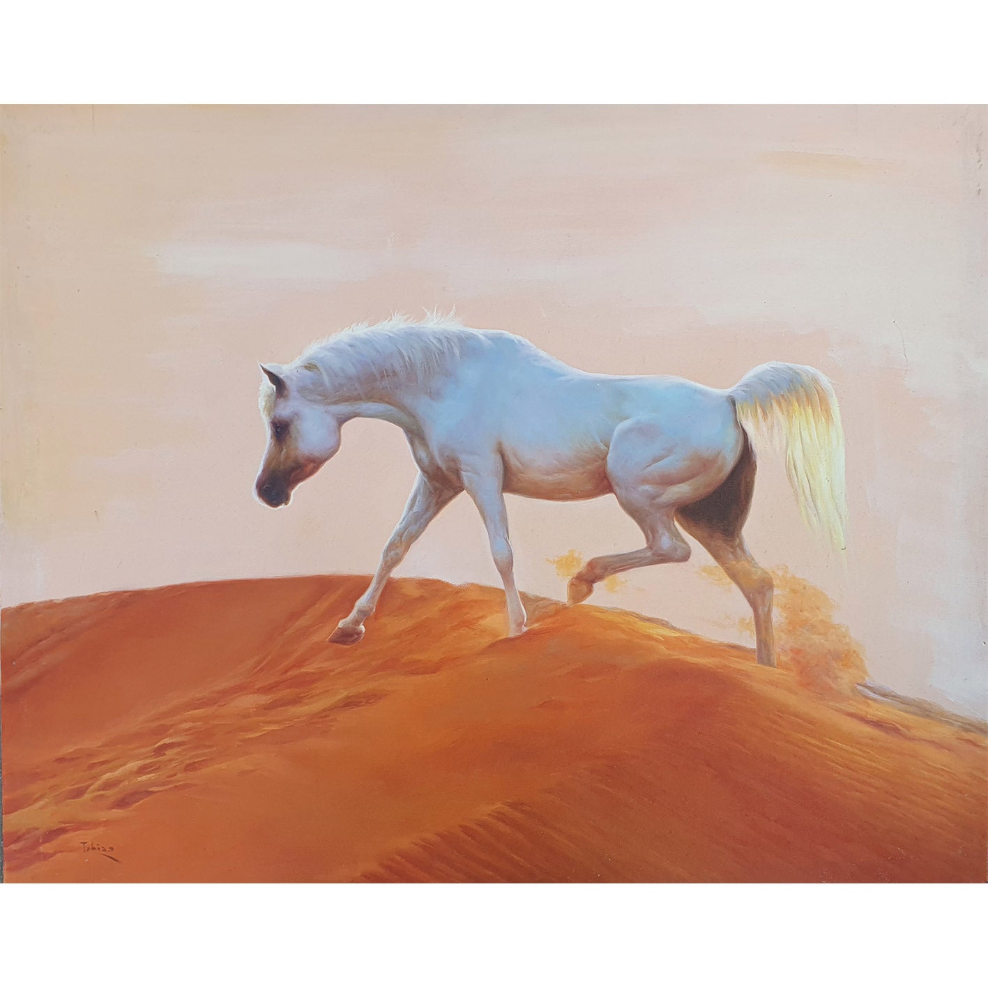 Cuadro Caballo Desierto 100x80 cm