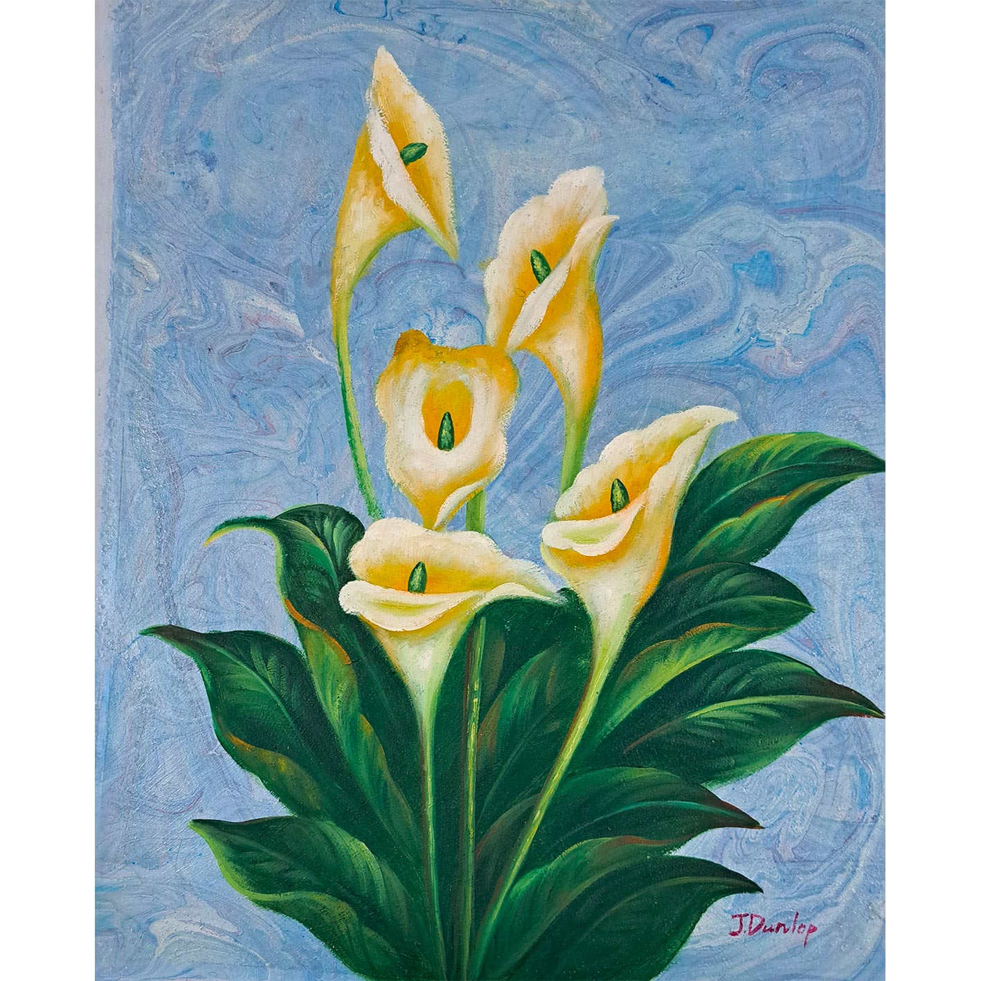 Cuadro Cala Lirio Alcatraces 50x60 cm